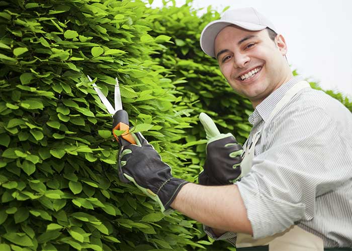 Mantenimiento y cuidado de jardines en Valladolid