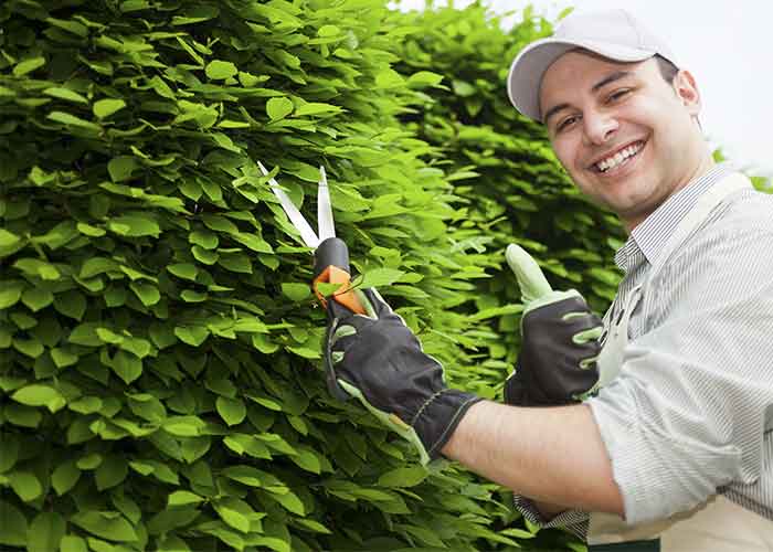 Mantenimiento de jardines